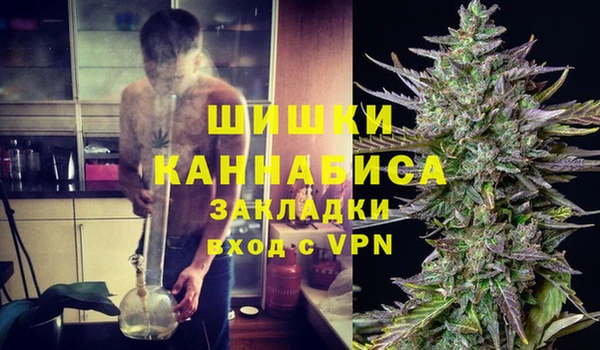 Альфа ПВП Няндома