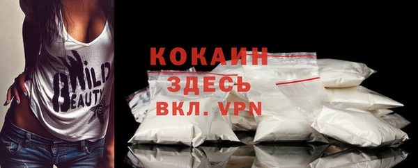 Альфа ПВП Няндома