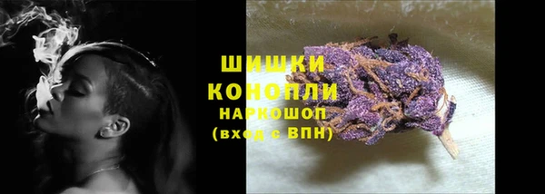 Альфа ПВП Няндома