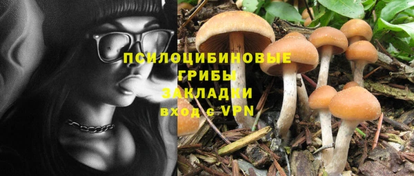 Альфа ПВП Няндома