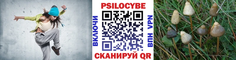 Псилоцибиновые грибы MAGIC MUSHROOMS  закладка  ОМГ ОМГ зеркало  Калачинск 